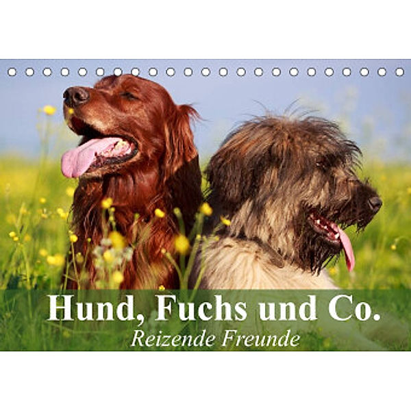 Hund, Fuchs und Co. Reizende Freunde (Tischkalender 2022 DIN A5 quer), Elisabeth Stanzer