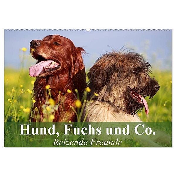 Hund, Fuchs und Co. Reizende Freunde (Wandkalender 2024 DIN A2 quer), CALVENDO Monatskalender, Elisabeth Stanzer