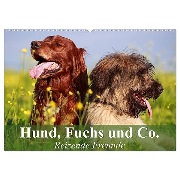 Hund, Fuchs und Co. Reizende Freunde (Wandkalender 2025 DIN A2 quer), CALVENDO Monatskalender, Calvendo, Elisabeth Stanzer