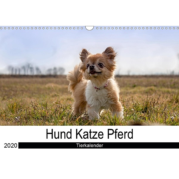 Hund Katze PferdAT-Version (Wandkalender 2020 DIN A3 quer), Martha Hutterer Fotografie