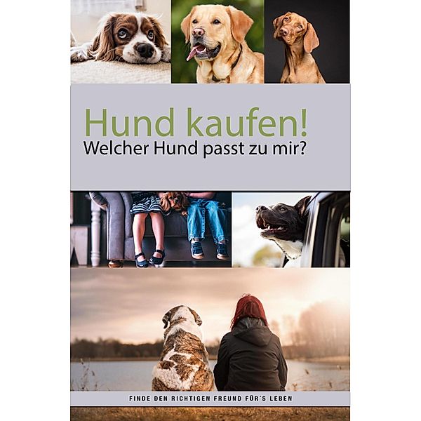 Hund kaufen aber welcher Hund passt zu mir?, Felix Labrador