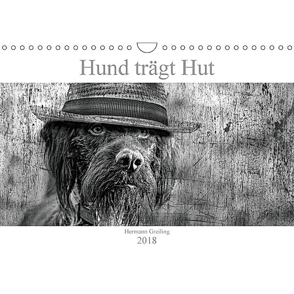 Hund trägt Hut (Wandkalender 2018 DIN A4 quer), Hermann Greiling