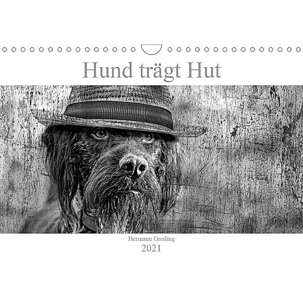Hund trägt Hut (Wandkalender 2021 DIN A4 quer), Hermann Greiling