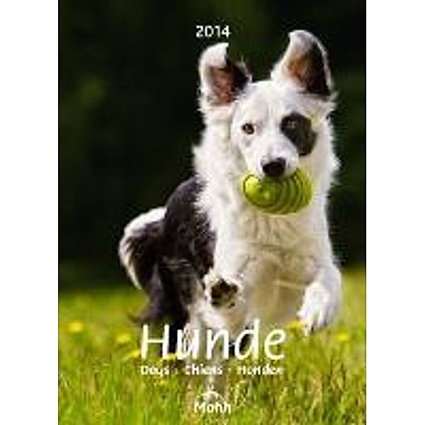 Hunde 2014