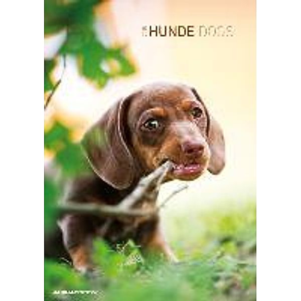 Hunde 2015