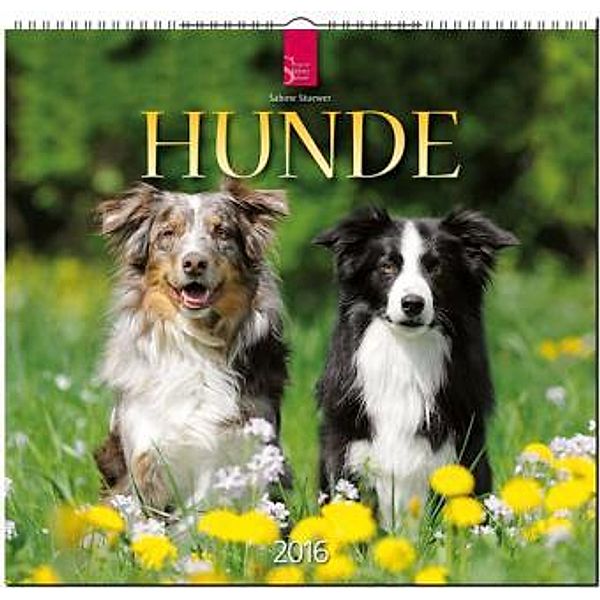 Hunde 2016