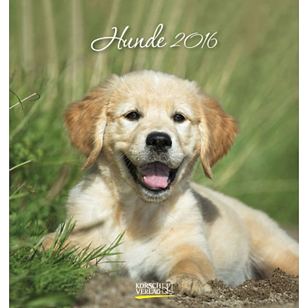 Hunde 2016