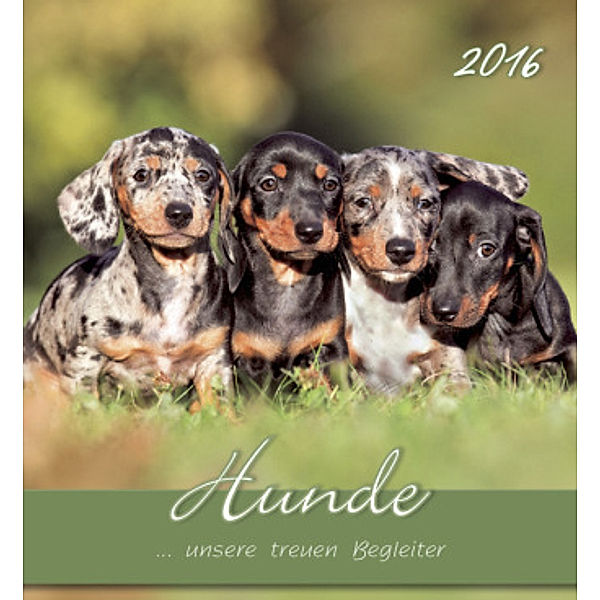 Hunde 2016