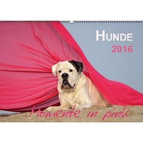 Hunde 2016 Momente in pink (Wandkalender 2016 DIN A2 quer), Yvonne Janetzek