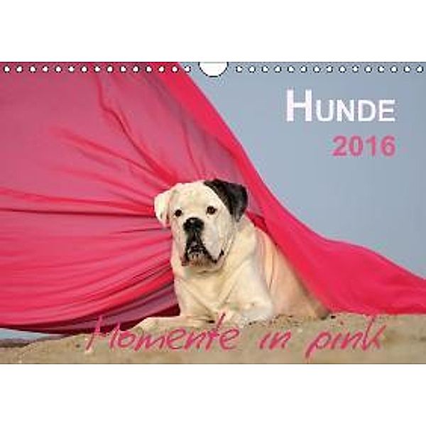 Hunde 2016 Momente in pink (Wandkalender 2016 DIN A4 quer), Yvonne Janetzek