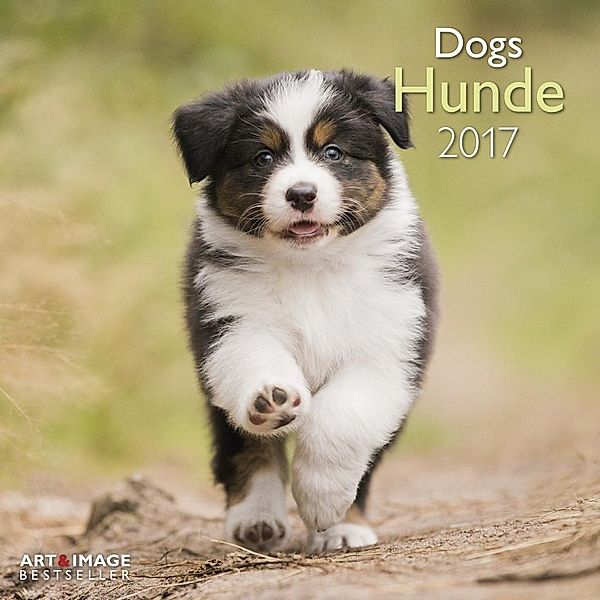 Hunde 2017, Jana Weichelt