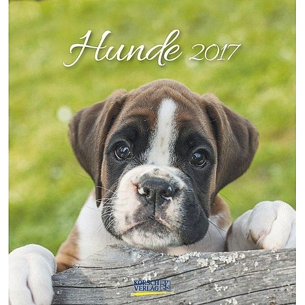 Hunde 2017