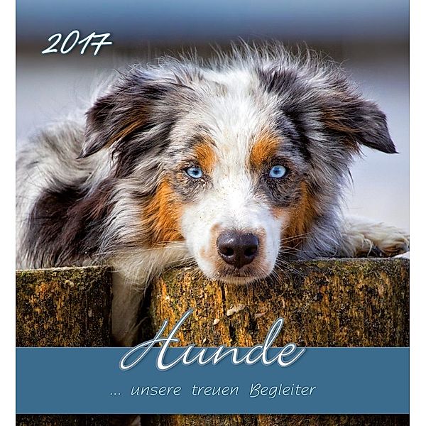 Hunde 2017, Postkartenkalender