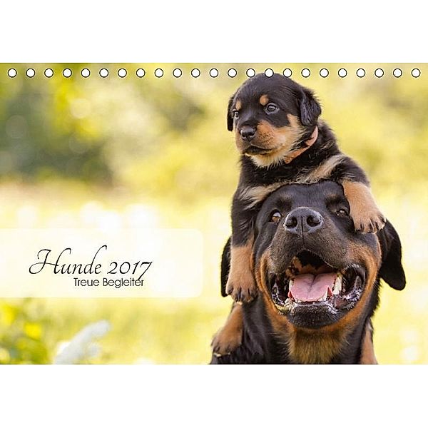 Hunde 2017 - Treue Begleiter (Tischkalender 2017 DIN A5 quer), Janice Pohle