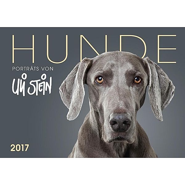 Hunde 2017 - Wandkalender, Uli Stein