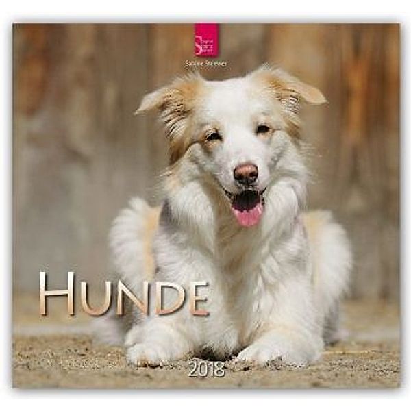 Hunde 2018