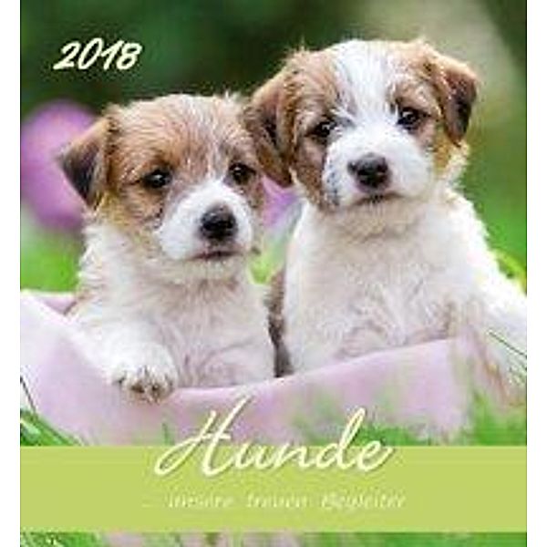 Hunde 2018 Postkartenkalender