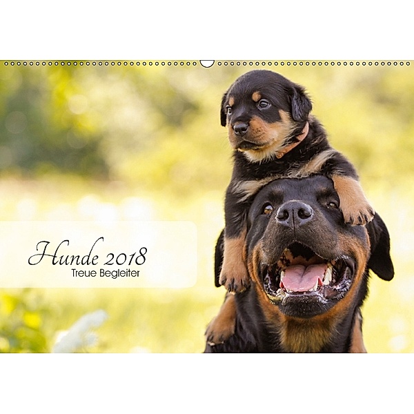 Hunde 2018 - Treue Begleiter (Wandkalender 2018 DIN A2 quer) Dieser erfolgreiche Kalender wurde dieses Jahr mit gleichen, Janice Pohle