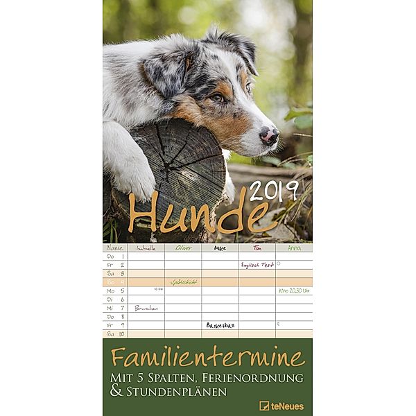 Hunde 2019