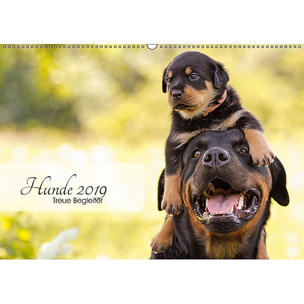 Hunde 2019 - Treue Begleiter (Wandkalender 2019 DIN A2 quer), Janice Pohle