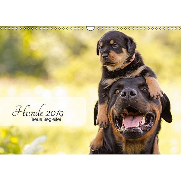Hunde 2019 - Treue Begleiter (Wandkalender 2019 DIN A3 quer), Janice Pohle