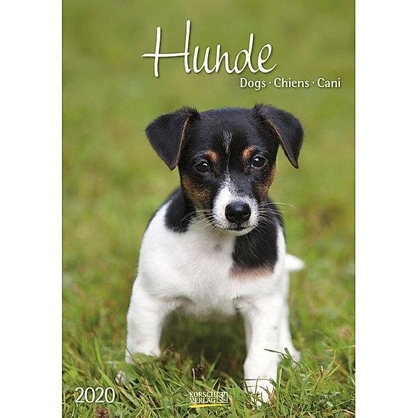 Hunde 2020