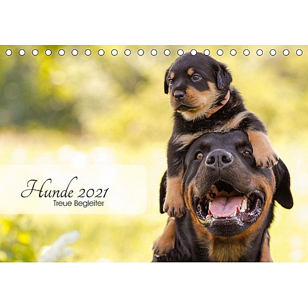 Hunde 2021 - Treue Begleiter (Tischkalender 2021 DIN A5 quer), Janice Pohle