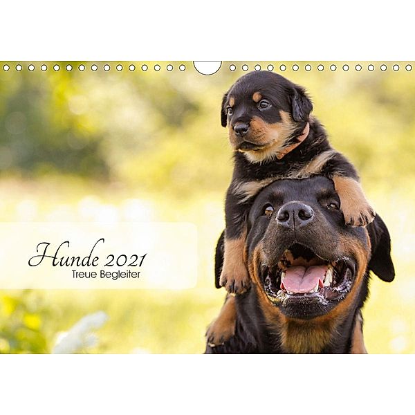 Hunde 2021 - Treue Begleiter (Wandkalender 2021 DIN A4 quer), Janice Pohle