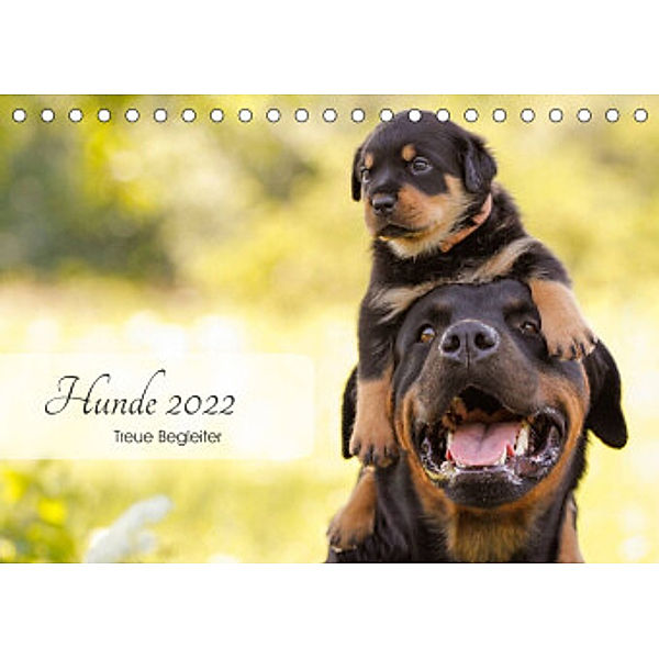 Hunde 2022 - Treue Begleiter (Tischkalender 2022 DIN A5 quer), Janice Pohle