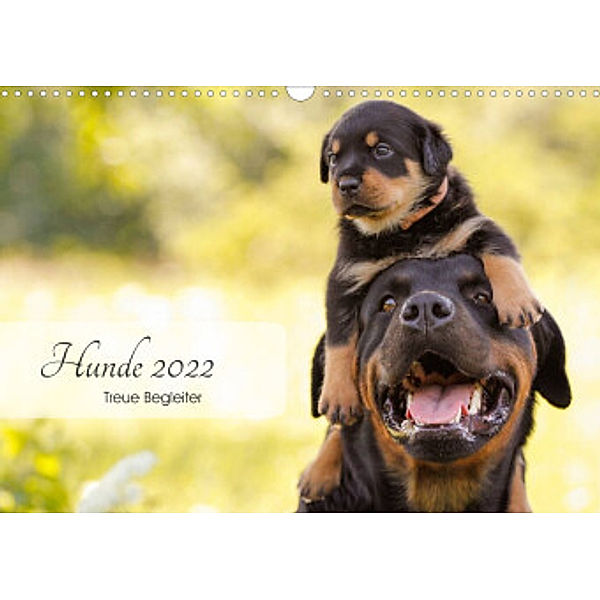 Hunde 2022 - Treue Begleiter (Wandkalender 2022 DIN A3 quer), Janice Pohle