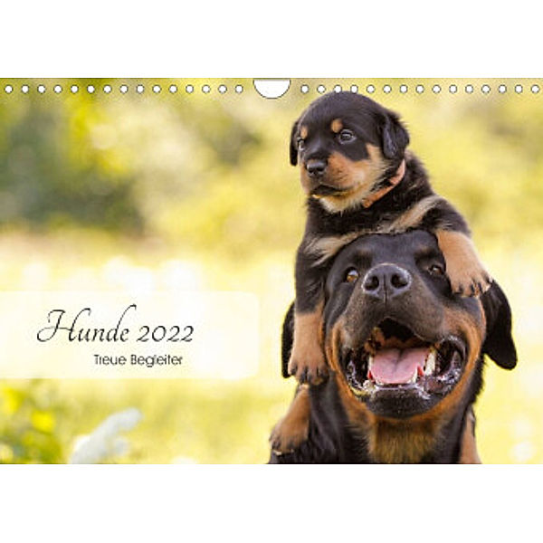 Hunde 2022 - Treue Begleiter (Wandkalender 2022 DIN A4 quer), Janice Pohle