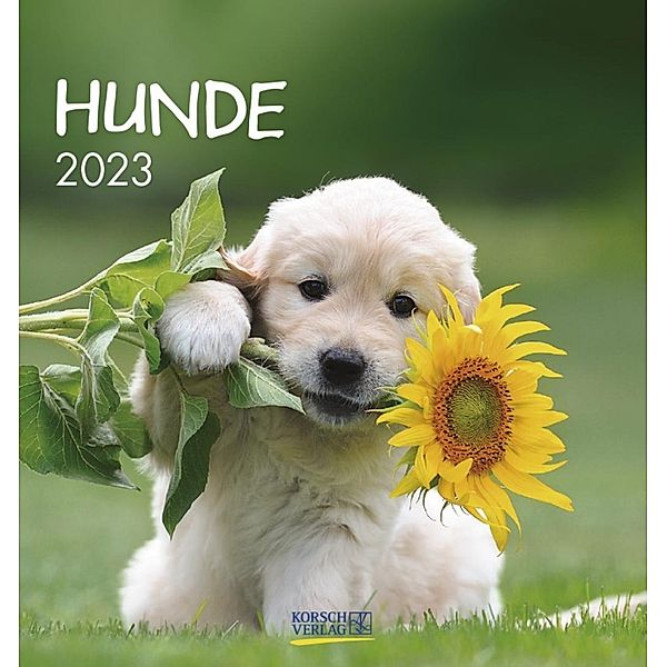 Hunde 2023