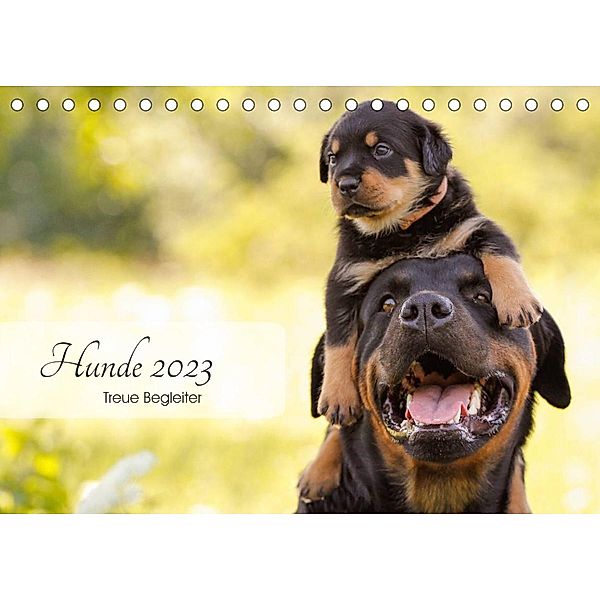Hunde 2023 - Treue Begleiter (Tischkalender 2023 DIN A5 quer), Janice Pohle
