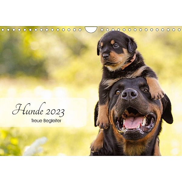 Hunde 2023 - Treue Begleiter (Wandkalender 2023 DIN A4 quer), Janice Pohle