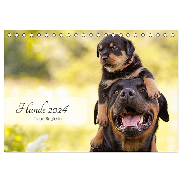 Hunde 2024 - Treue Begleiter (Tischkalender 2024 DIN A5 quer), CALVENDO Monatskalender, Janice Pohle