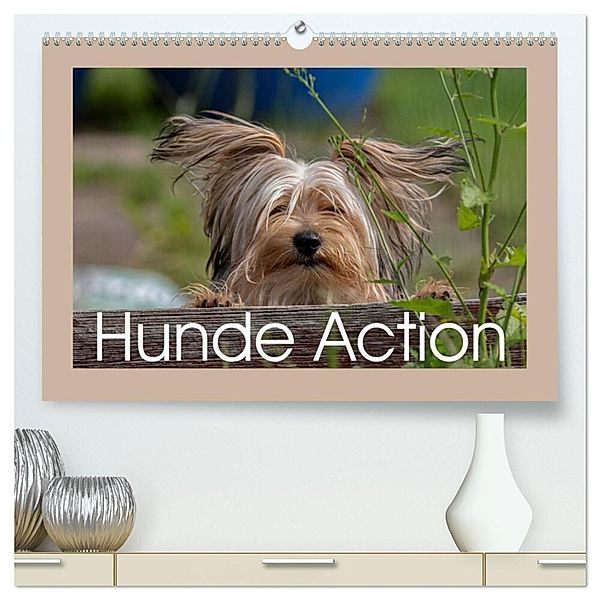 Hunde Action (hochwertiger Premium Wandkalender 2024 DIN A2 quer), Kunstdruck in Hochglanz, Wiebke von der Heyde