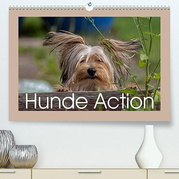 Hunde Action (Premium, hochwertiger DIN A2 Wandkalender 2023, Kunstdruck in Hochglanz), Wiebke von der Heyde