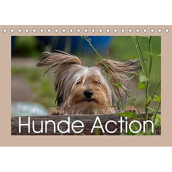 Hunde Action (Tischkalender 2023 DIN A5 quer), Wiebke von der Heyde