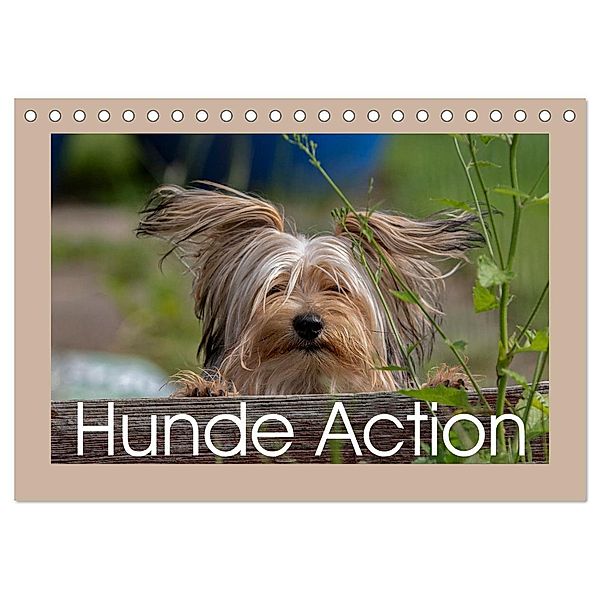 Hunde Action (Tischkalender 2025 DIN A5 quer), CALVENDO Monatskalender, Calvendo, Wiebke von der Heyde