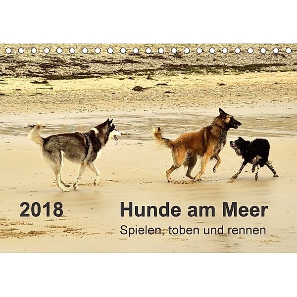 Hunde am Meer - Spielen, toben und rennen (Tischkalender 2018 DIN A5 quer), Dirk Walter