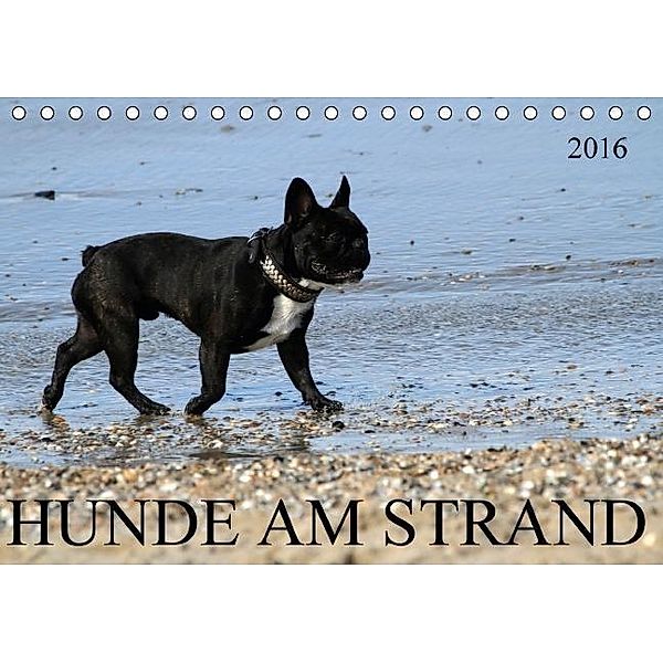 HUNDE AM STRAND (Tischkalender 2016 DIN A5 quer), SchnelleWelten