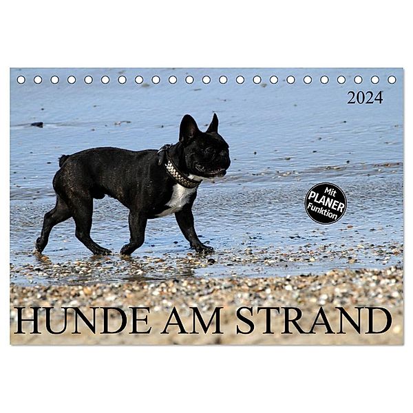 HUNDE AM STRAND (Tischkalender 2024 DIN A5 quer), CALVENDO Monatskalender, Schnellewelten