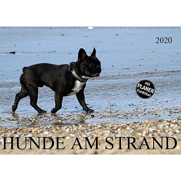 HUNDE AM STRAND (Wandkalender 2020 DIN A2 quer)