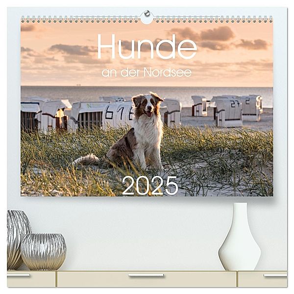 Hunde an der Nordsee (hochwertiger Premium Wandkalender 2025 DIN A2 quer), Kunstdruck in Hochglanz, Calvendo, Heidi Bollich