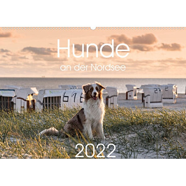 Hunde an der Nordsee (Wandkalender 2022 DIN A2 quer), Heidi Bollich