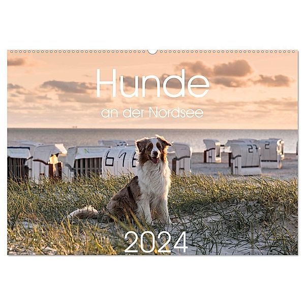 Hunde an der Nordsee (Wandkalender 2024 DIN A2 quer), CALVENDO Monatskalender, Heidi Bollich