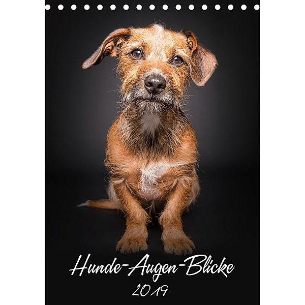 Hunde-Augen-Blicke (Tischkalender 2019 DIN A5 hoch), Silke Gareis