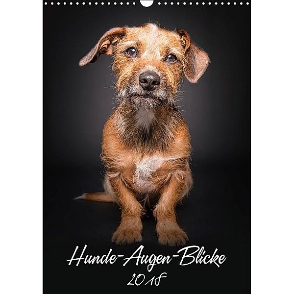 Hunde-Augen-Blicke (Wandkalender 2018 DIN A3 hoch), Silke Gareis