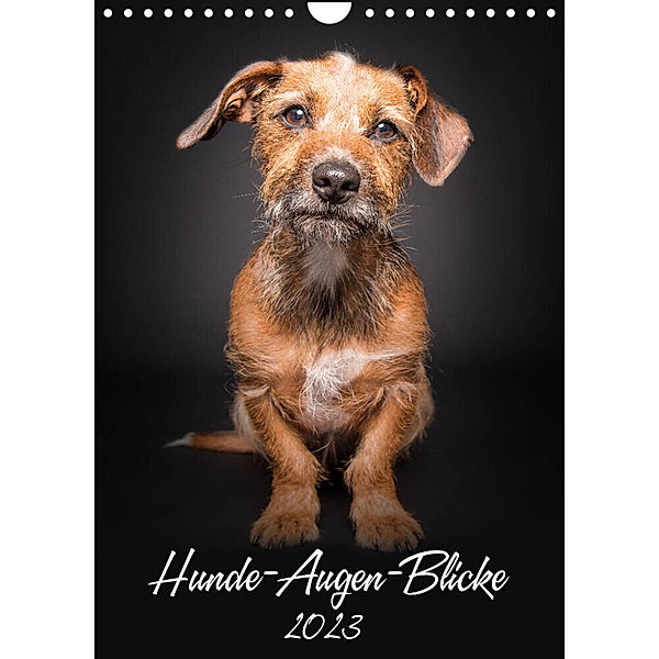 Hunde-Augen-Blicke (Wandkalender 2023 DIN A4 hoch), Silke Gareis