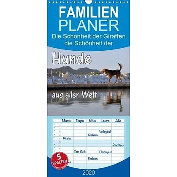 Hunde aus aller Welt - Familienplaner hoch (Wandkalender 2020 , 21 cm x 45 cm, hoch), Florian Blümm